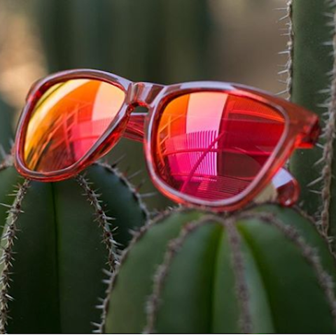 lenoor crown knockaround classics sunglasses red monochrome
