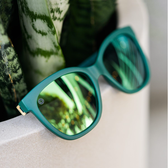 Knockaround Sunglasses | Poison Ivy Deja Views display picture 3
